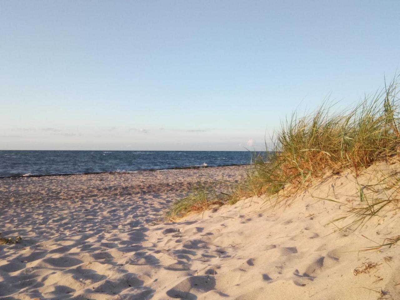 Flat With Sauna In Rerik On The Baltic Sea Ngoại thất bức ảnh